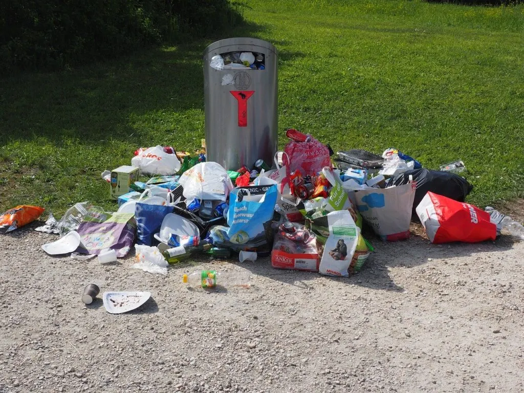Pourquoi user de bonnes poubelles pour l’hygiène de son cadre de vie ?